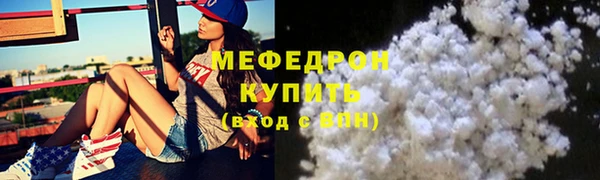 индика Елабуга