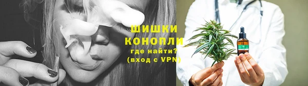 индика Елабуга