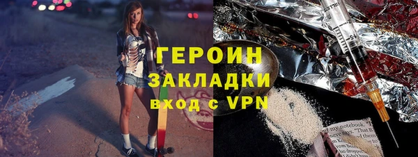 индика Елабуга