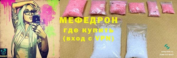 индика Елабуга