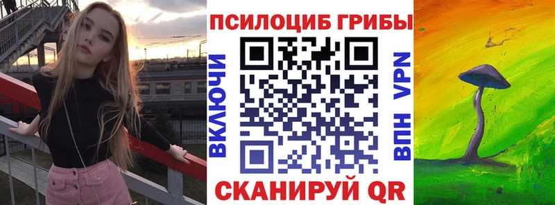 KRAKEN ссылки Старица Псилоцибиновые грибы GOLDEN TEACHER купить закладку